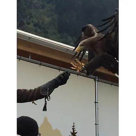 Seppl's Comfortable Holiday home *