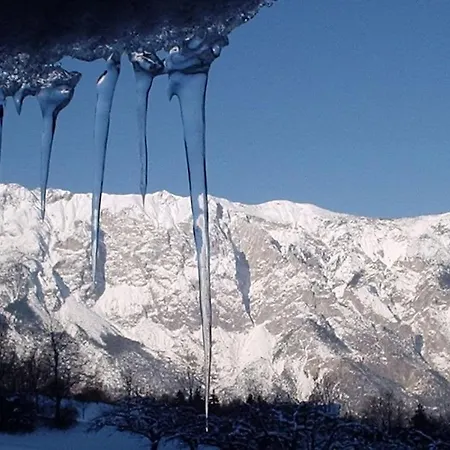 Seppl's Comfortable Sautens